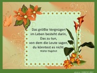 Das gr��te Vergn�gen