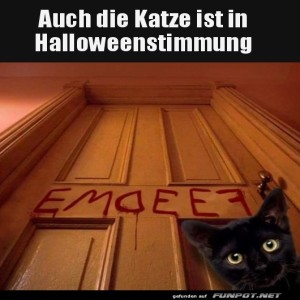 Katze-hat-Hunger.jpg von Michelle