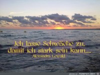 Ich lasse Schwaeche zu