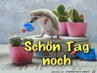 Schnen Tag noch