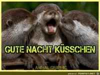Gute Nacht Kuesschen