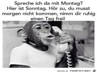 Spreche ich da mit Montag