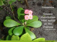 Grenzen ueberschreiten