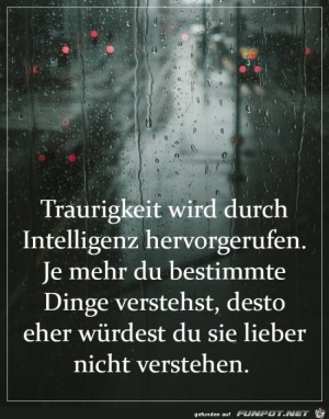 Traurigkeit-wird-durch-Intelligenz-hervorgerufen.jpg auf www.funpot.net