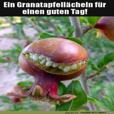 Was-f&uuml;r-ein-L&auml;cheln.jpg von Marleen
