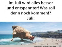 Es kann nur besser werden