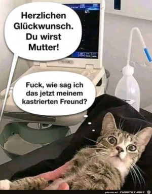 Das-wird-schwierig.jpg auf www.funpot.net