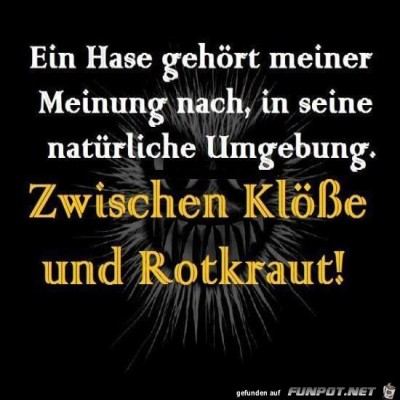 Ein-Hase.jpg von Keule56