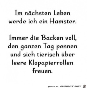 Hamster-werden.jpg auf www.funpot.net