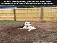 Was f�r eine Entt�uschung