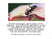 Allerdings glaube ich