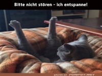 Bitte nicht st�ren
