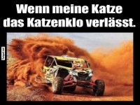 Rasante Flucht aus dem Katzenklo