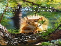 Freitags-Fieber im Eichhörnchenwald
