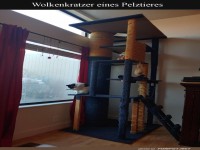 Katzenturm: Luxusresidenz mit Aussicht