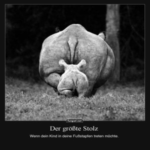 herz-Bild: Stolze Posen: Rhino Mama und Kind
