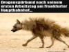 weiter