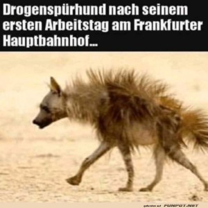 Harter-Job.jpg von Nele68
