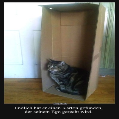 K&ouml;nig-der-Kartonberge.jpg von Schwesterchen