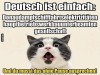 weiter