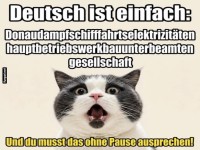 Die wahre Herausforderung der deutschen Sprache