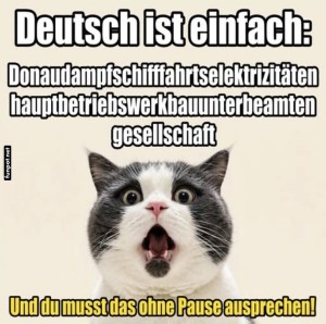 Die-wahre-Herausforderung-der-deutschen-Sprache.jpg auf www.funpot.net