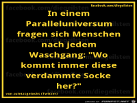 diegeilsten Paralleluniversum