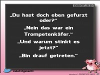 Hast Du eben gefurzt