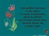 Dein grter Reichtum