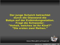 Der junge Scheich betrachtet durch die Glaswand die Babys...
