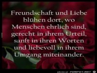 Freundschat und Liebe bl�hen dort, wo Menschen ehrlich sind,