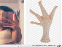 Deshalb sagt man auch H�hner zu Frauen