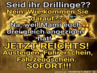 Drillinge