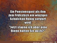 Zu wenig Honig gereicht