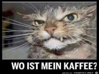Wo ist der Kaffee?