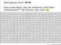 Sieh genau hin
