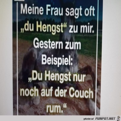 der-Hengst.jpg von Oliver