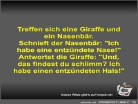 Treffen sich eine Giraffe und ein Nasenb�r