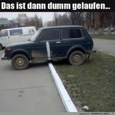 Bl&ouml;d-gelaufen.jpg von Enya