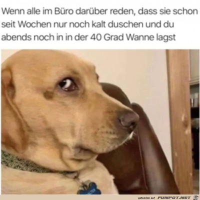 Ich-sage-lieber-nichts.jpg von Enya