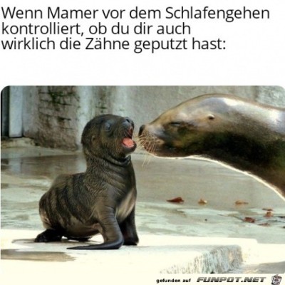 Hier-wird-kontrolliert.jpg von Runa