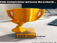 CSS-Entwickler