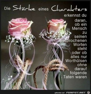 Die-Strke-eines-Carakters.jpg auf www.funpot.net