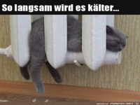Es wird k�lter