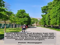 kein mensch auf erden