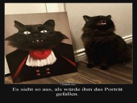 Wenn das Portr�t besser aussieht als du!