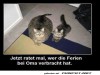 weiter