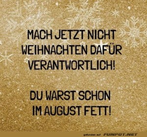 Weihnachts-Ausrede-entlarvt!.jpg auf www.funpot.net