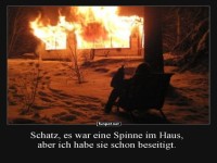 Wenn Spinnenphobie ernst wird