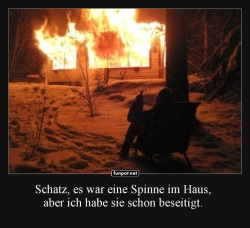 Wenn-Spinnenphobie-ernst-wird.jpg auf www.funpot.net